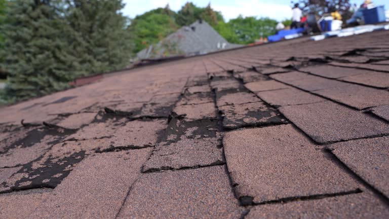 Best Sheet Metal Roofing  in Wickliffe, OH