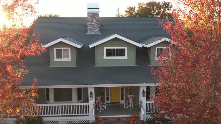 Best Roof Ventilation Installation  in Wickliffe, OH